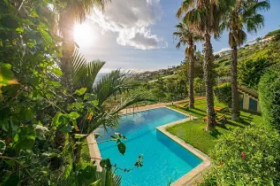 Casa do Papagaio Verde